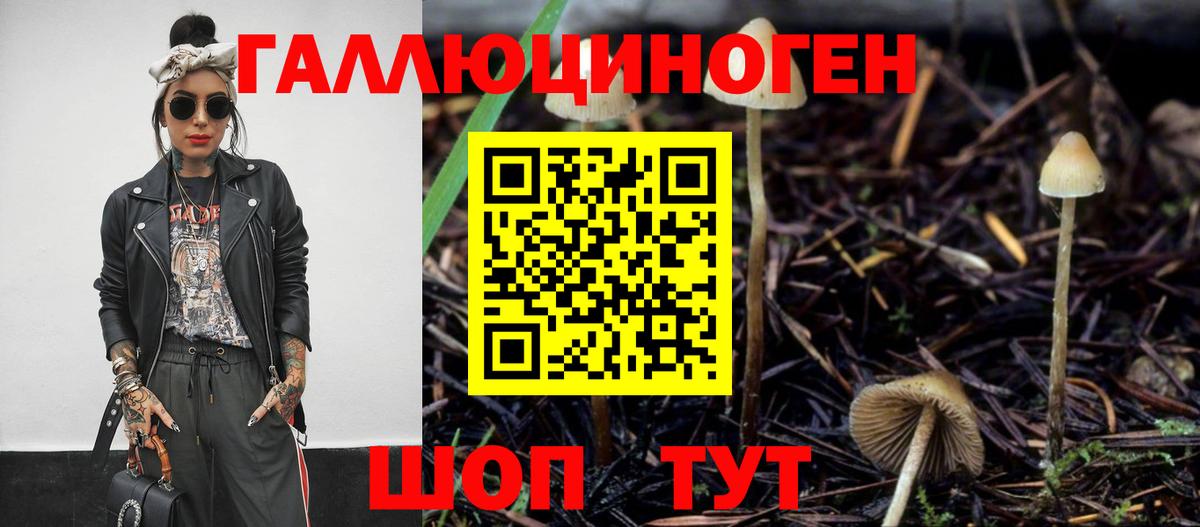 Псилоцибиновые грибы Cubensis Зерноград