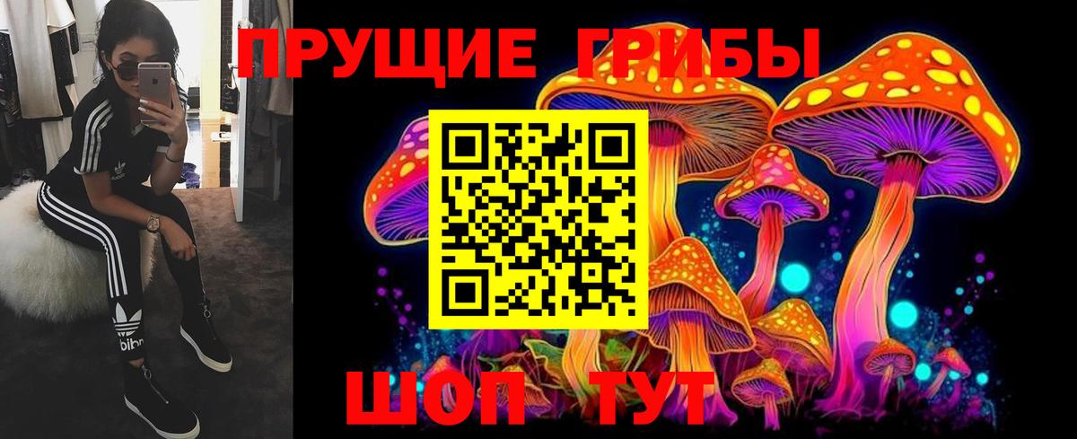 Зерноград  Псилоцибиновые грибы Magic Shrooms  Галлюциногенные грибы прущие грибы  Вход с VPN 